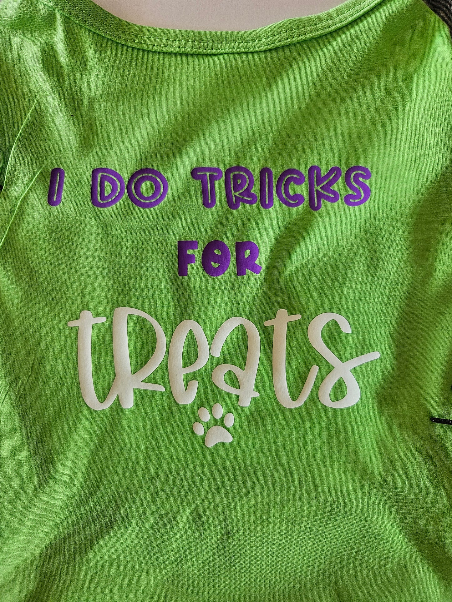 Does Tricks for Treats Dog T-shirt