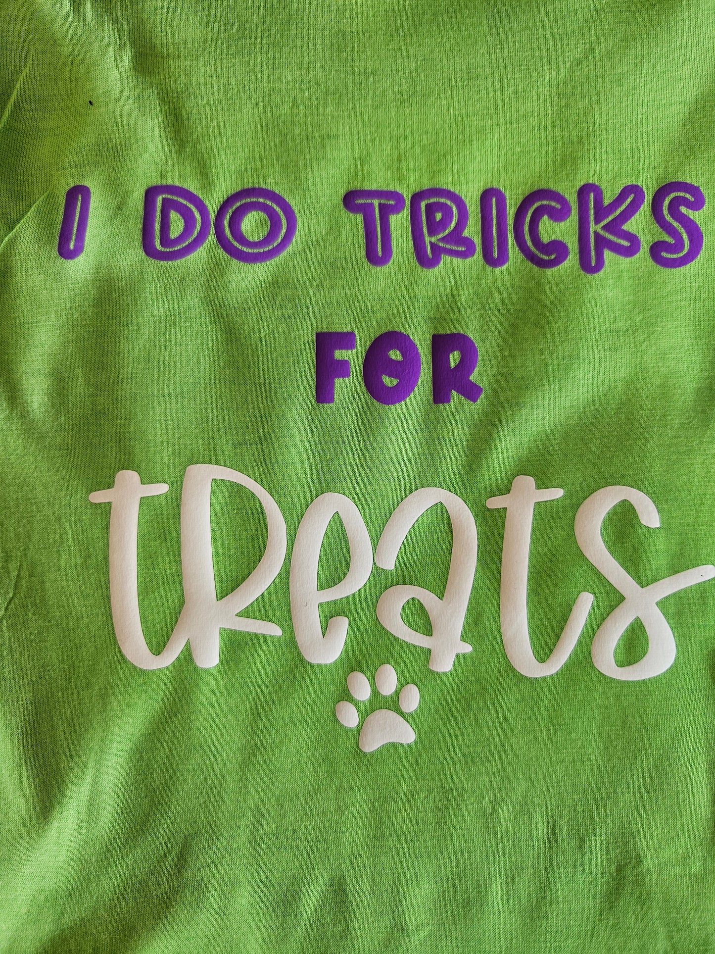Does Tricks for Treats Dog T-shirt